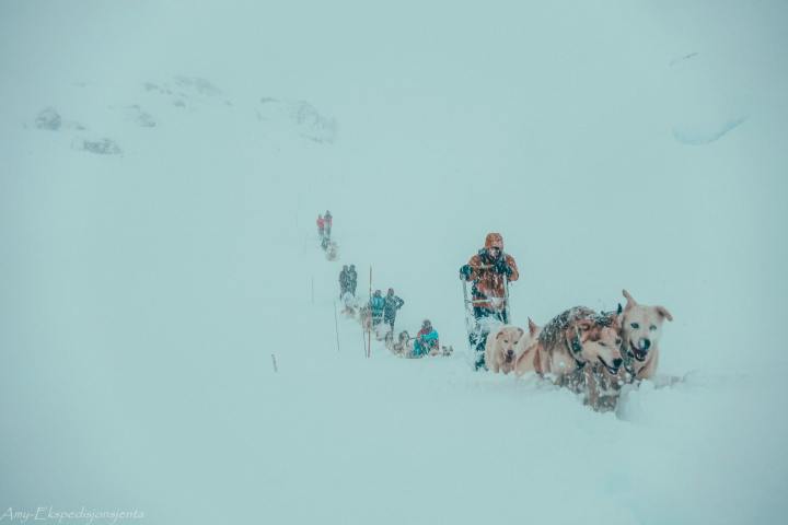 a group of people riding sleds pulled by huskies