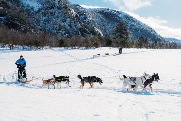 Person dog sledding on snowy landscape with mountains under blue sky.