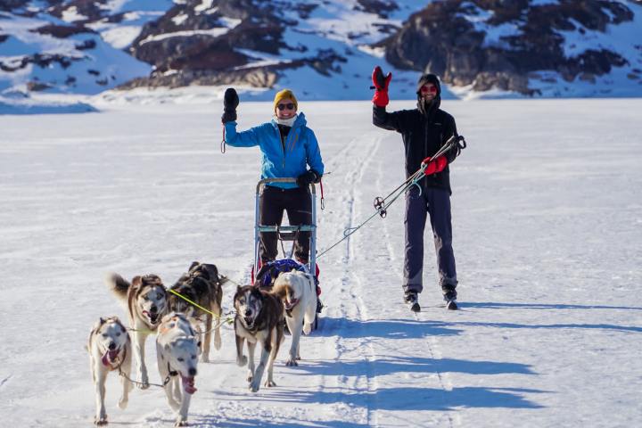 a group of people riding sleds pulled by huskies