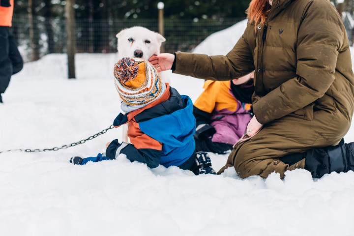Child in winter clothes pets a white dog in the snow, with an adult nearby.
