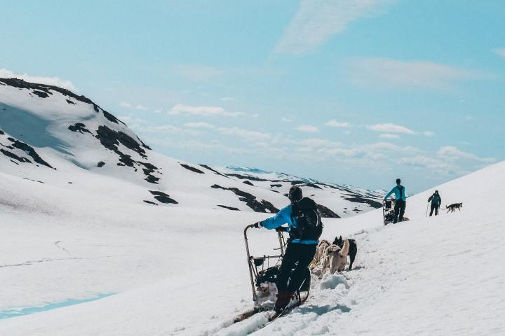 a group of people riding sleds pulled by huskies