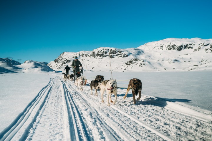 Dog sled team pulling a sled over snowy terrain with mountains in the background.