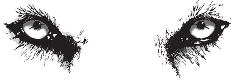 a close up of a logo