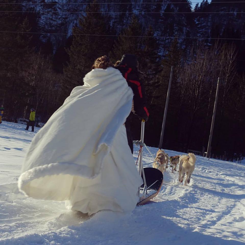 a person riding a sled pulled by huskies