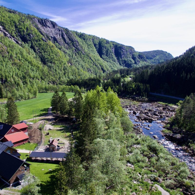 a stream running through a lush green hillside