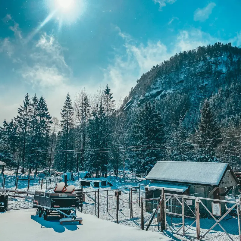 a cabin near a snow covered field