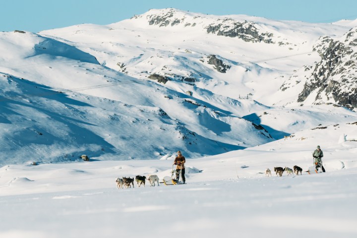 Two people sledding with dogs on a snowy mountain landscape under a clear sky.