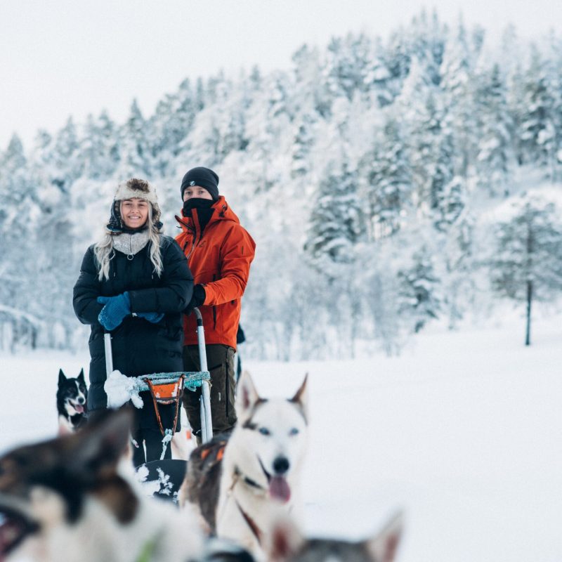 a person and a dog are walking in the snow