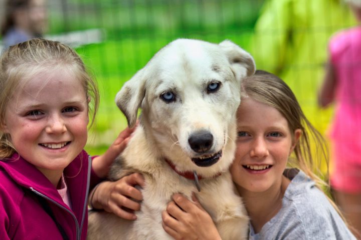 a little girl holding a dog posing for the camera