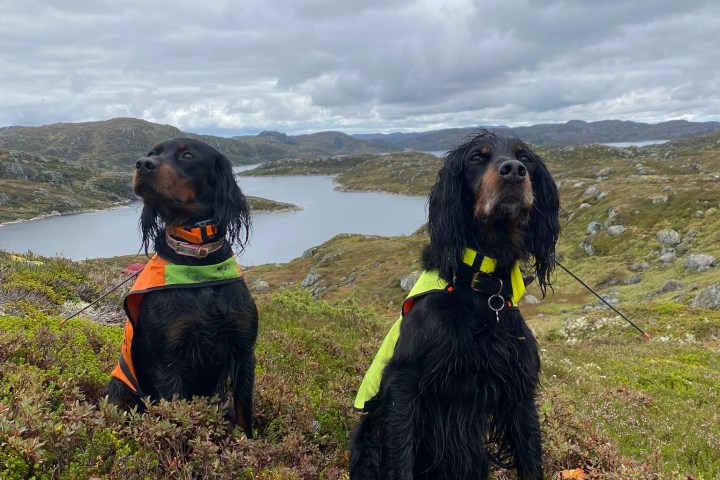 a couple of people that are standing in the grass