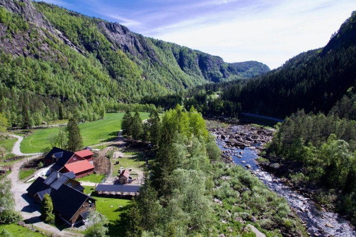 a train traveling through a lush green hillside