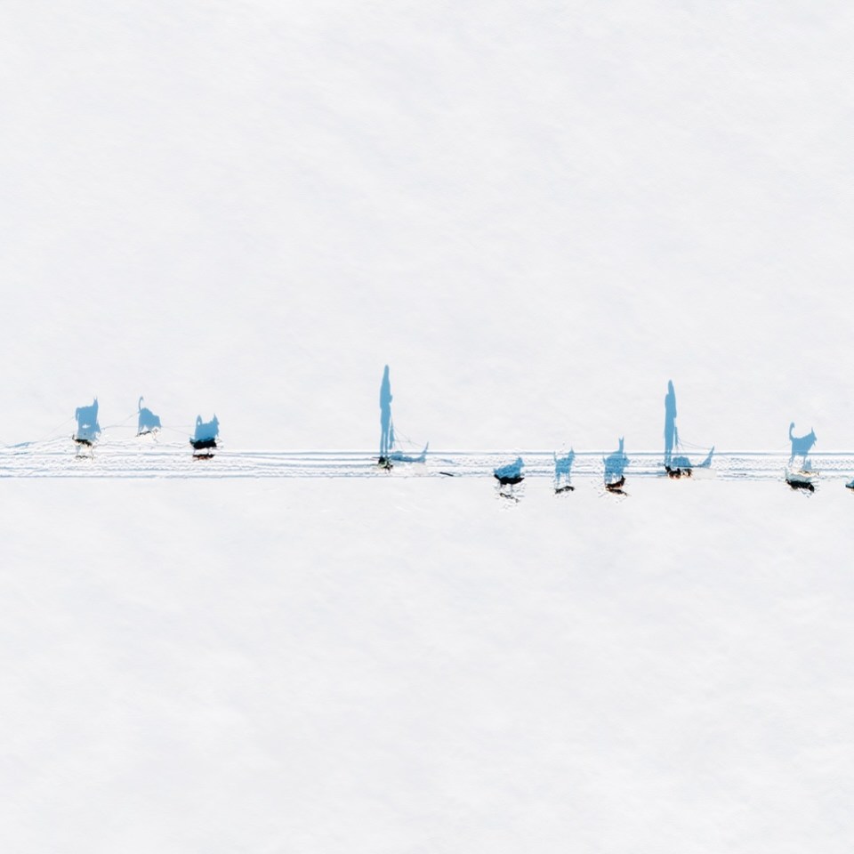Aerial view of people skiing in a line on a snowy surface, casting long shadows.