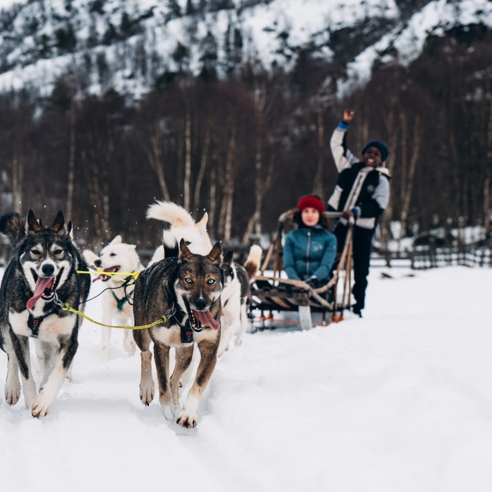 Two people sledding with huskies in a snowy landscape, mountains in the background.