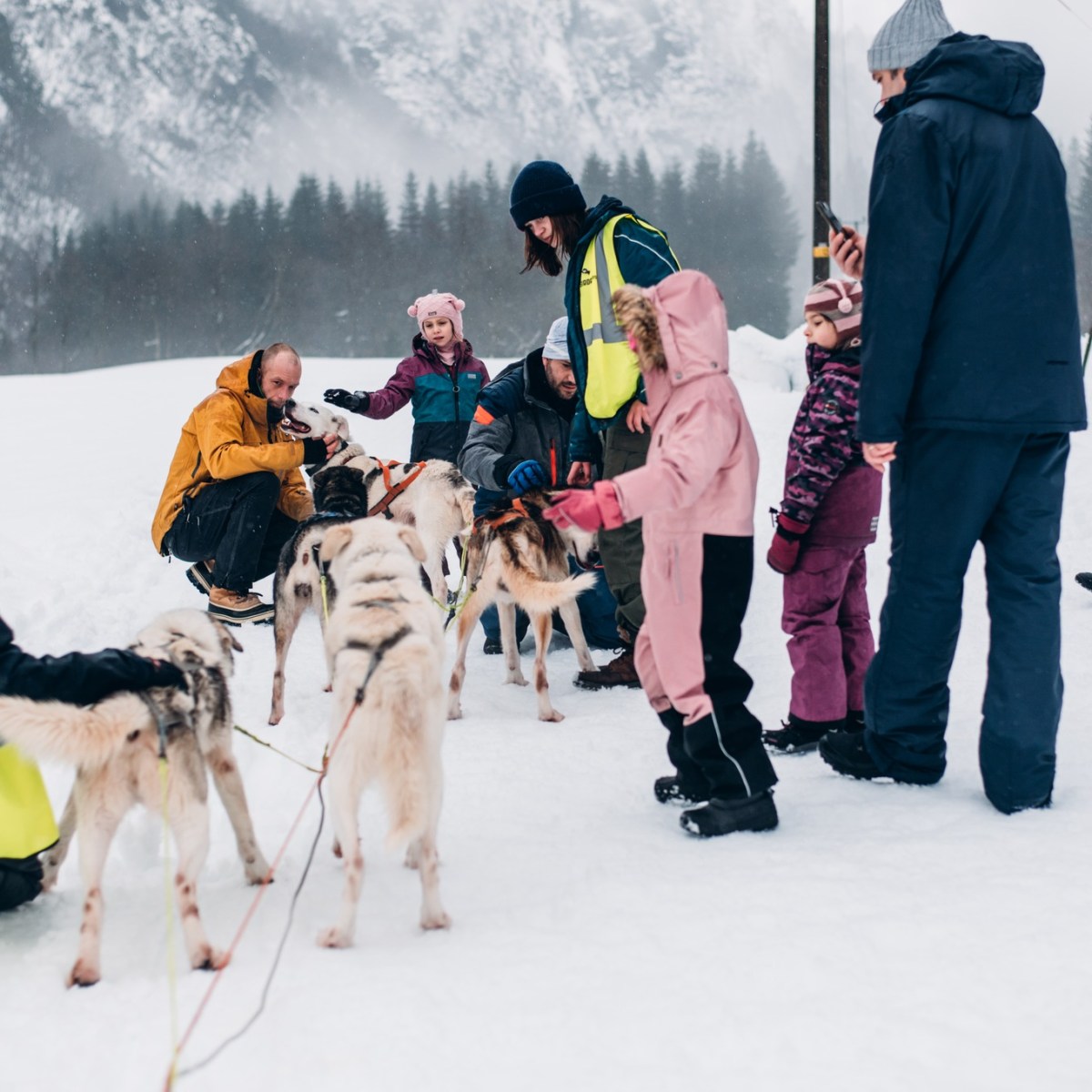 People and children interacting with sled dogs on snow, with mountains in the background.