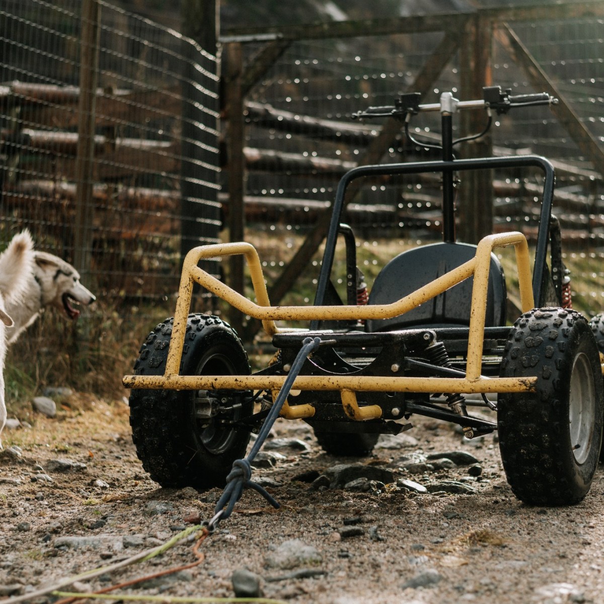 Dog cart with yellow frame on a dirt path, two dogs seen to the left.